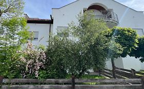 Palmen Apartment Direkt In Bad Aibling